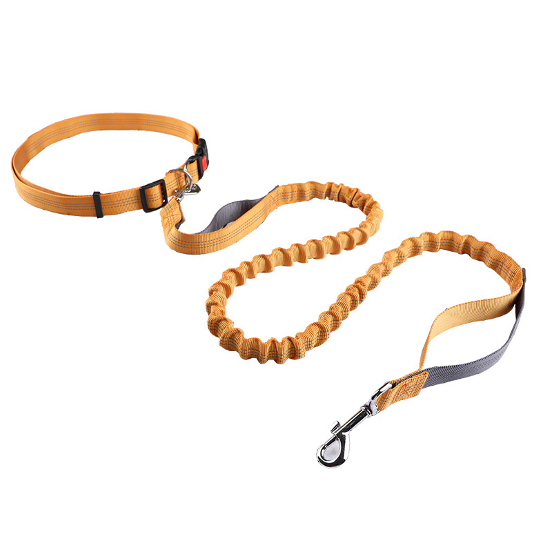 Retractable Dog Leash - Laisse pour animaux de compagnie, laisse