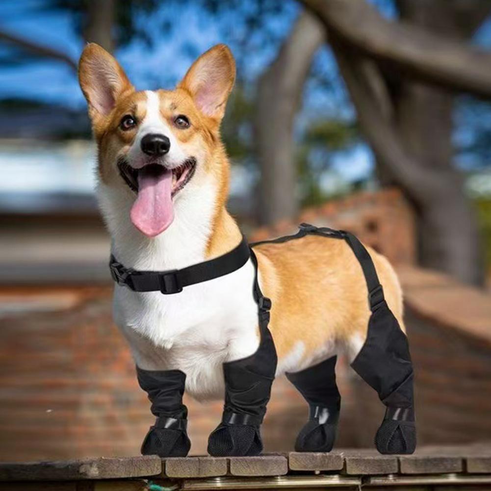 Dog Booties Paw Protector - Bottes de pluie pour chien avec