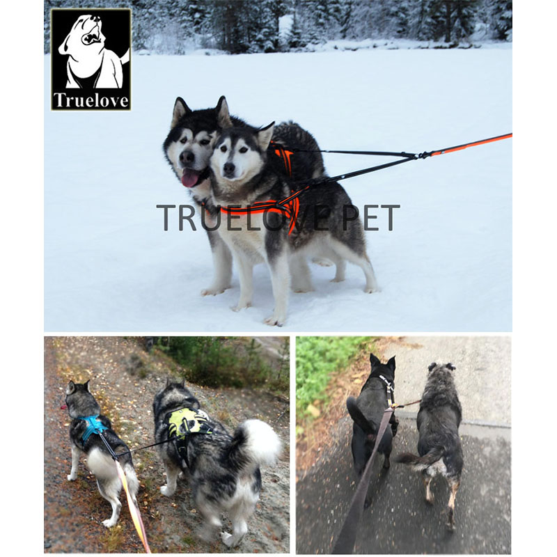 Truelove laisse Double en Nylo - Retractable Dog Leash avis et prix