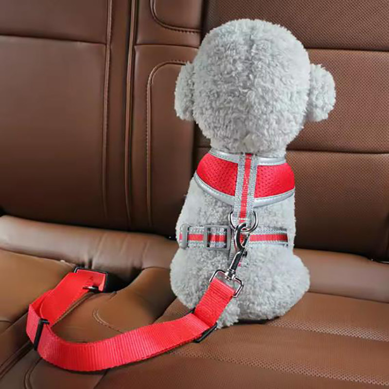 Ceintures de sécurité pour chi - Retractable Dog Leash avis et prix