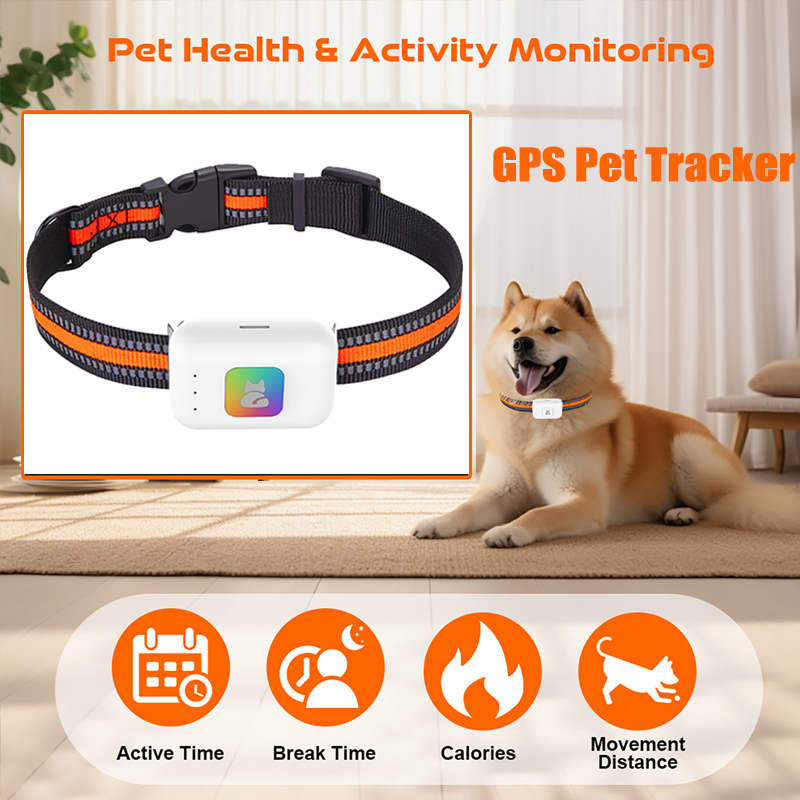 Dispositif de suivi GPS AGPS p - Pet Supplies Discount avis et prix