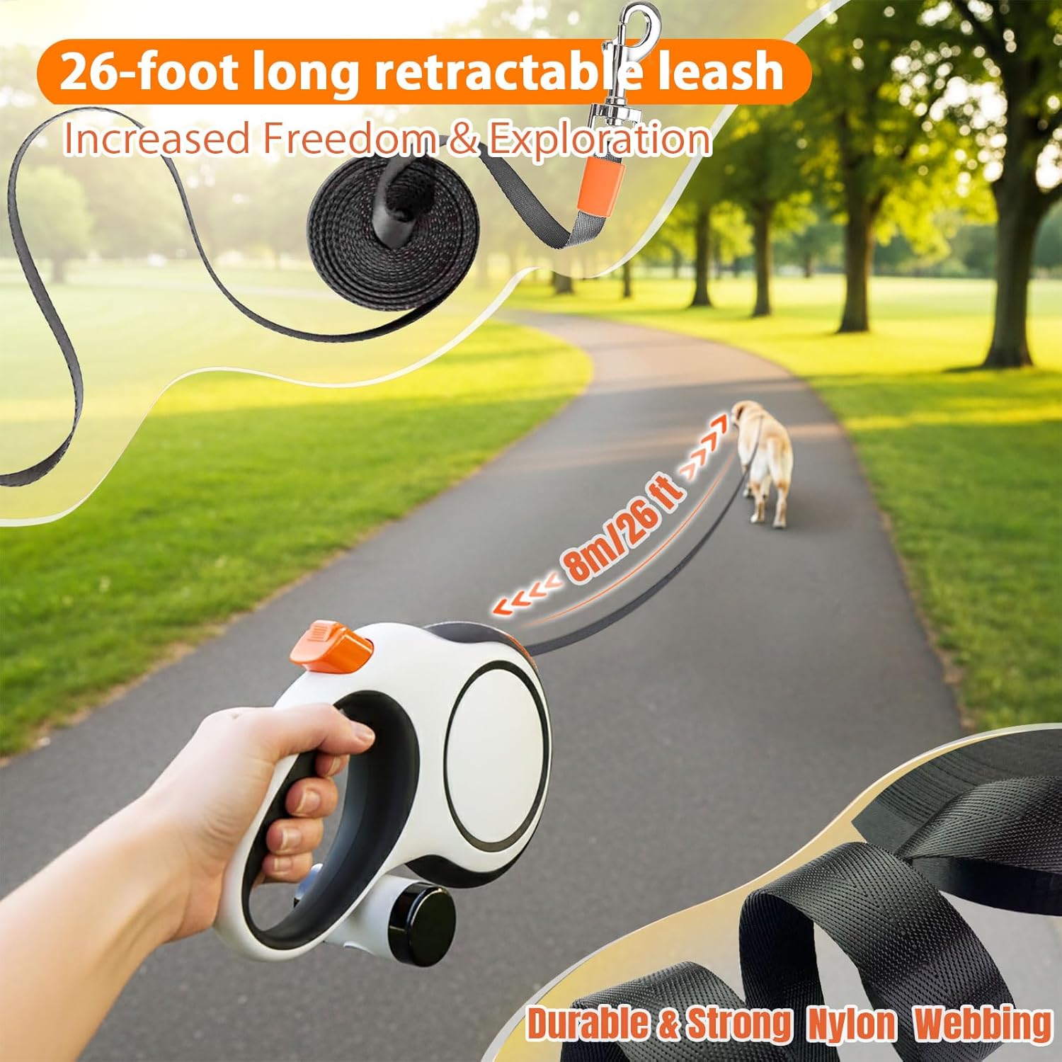 Laisse rétractable pour chien, - Retractable Dog Leash avis et prix
