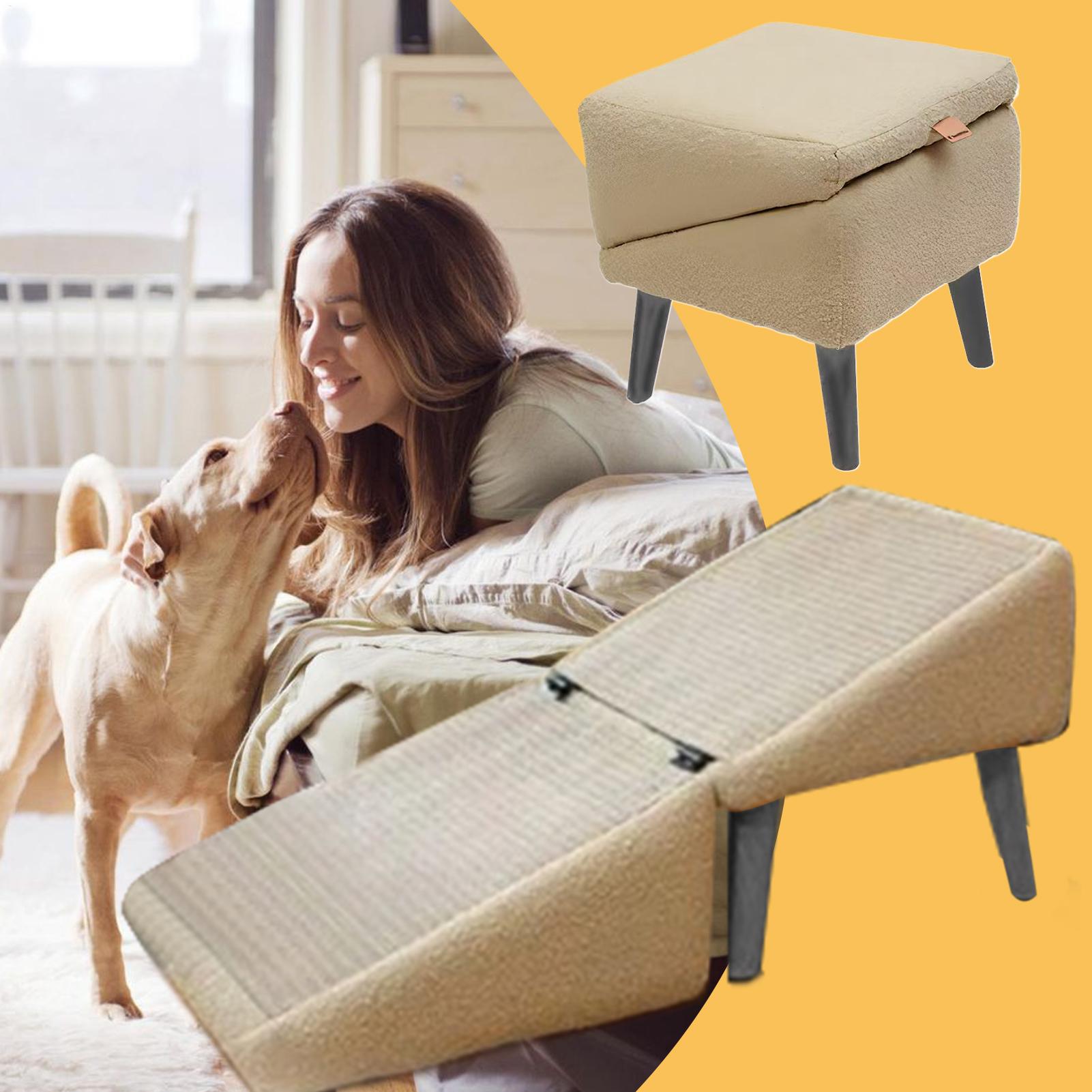 Rampe pliable multifonctionnel - Calming Dog Bed avis et prix