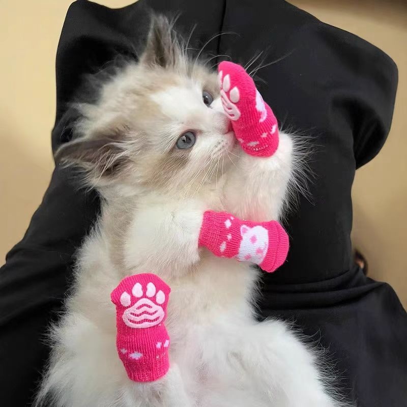 4 paires de chaussettes pour c - Dog Booties Paw Protector avis et prix