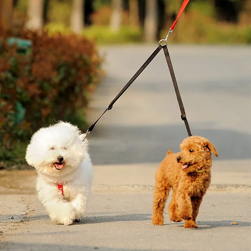 Coupleur de laisse pour deux c - Retractable Dog Leash avis et prix