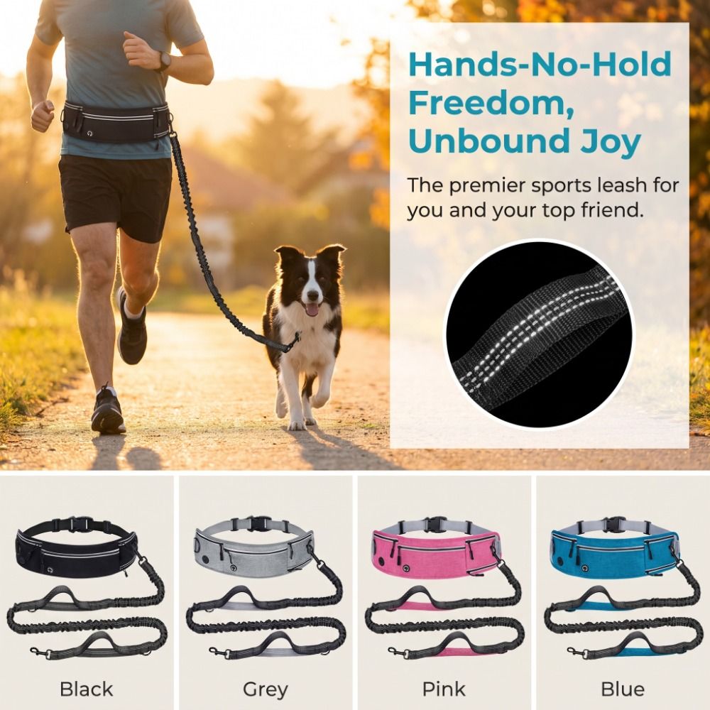 Laisse de course pour chien en - Retractable Dog Leash avis et prix