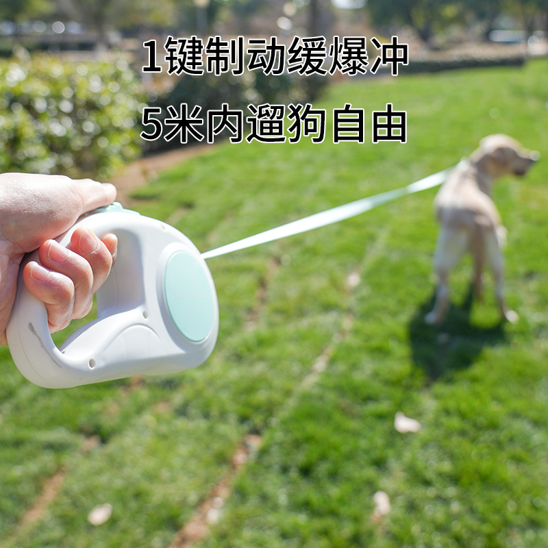 Laisse rétractable pour animau - Retractable Dog Leash avis et prix