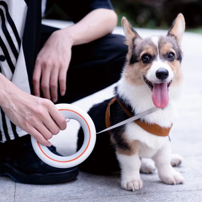 Moestar UFO 가2 щу이, ,한 ′′ Fors - Retractable Dog Leash avis et prix