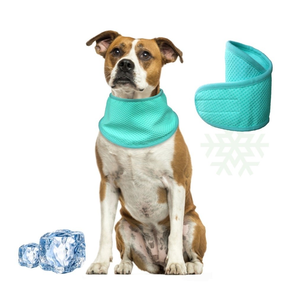 Nouveau Bandana Rafraîchissant - Dog Bandana Scarf avis et prix