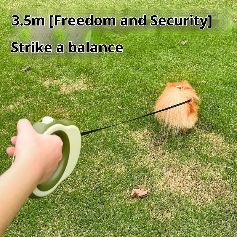   Laisse de chien rétractable  - Retractable Dog Leash avis et prix