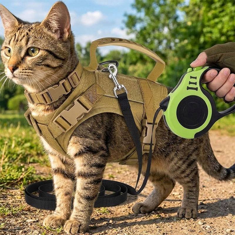 Harnais tactique respirant pou - Retractable Dog Leash avis et prix