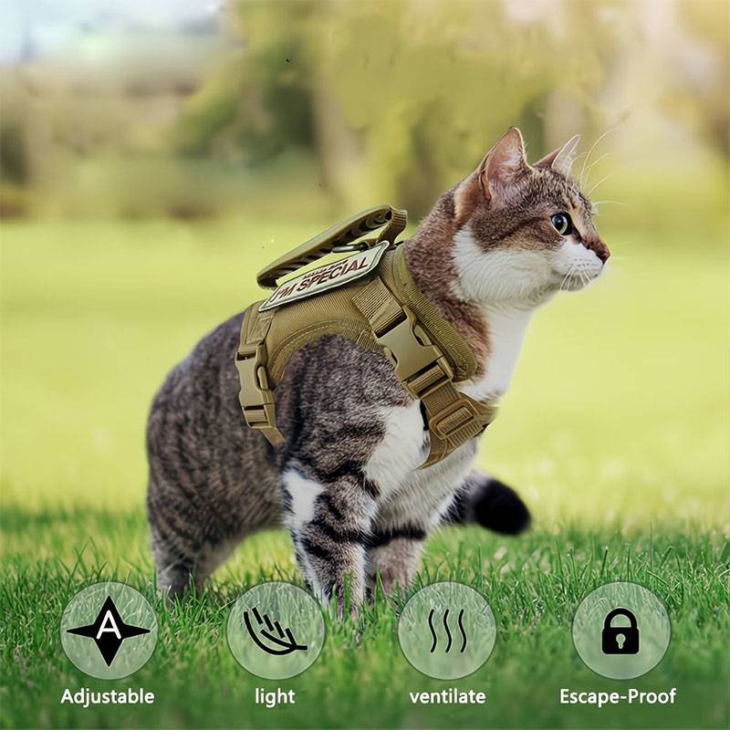 Harnais tactique respirant pou - Retractable Dog Leash avis et prix