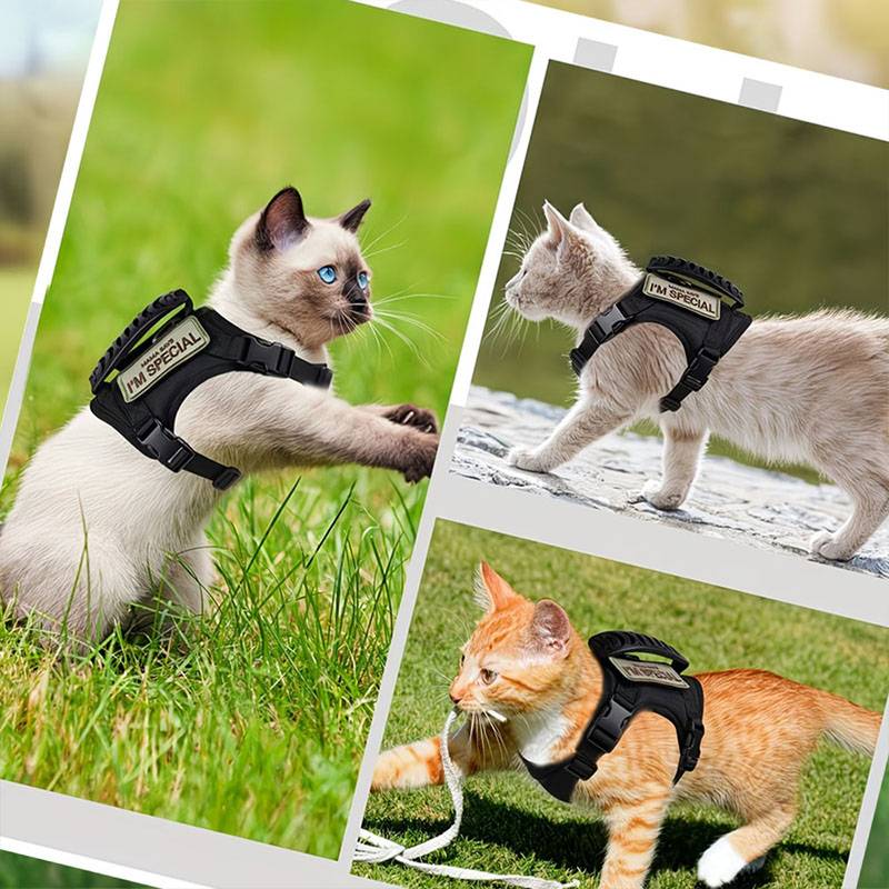 Harnais tactique respirant pou - Retractable Dog Leash avis et prix