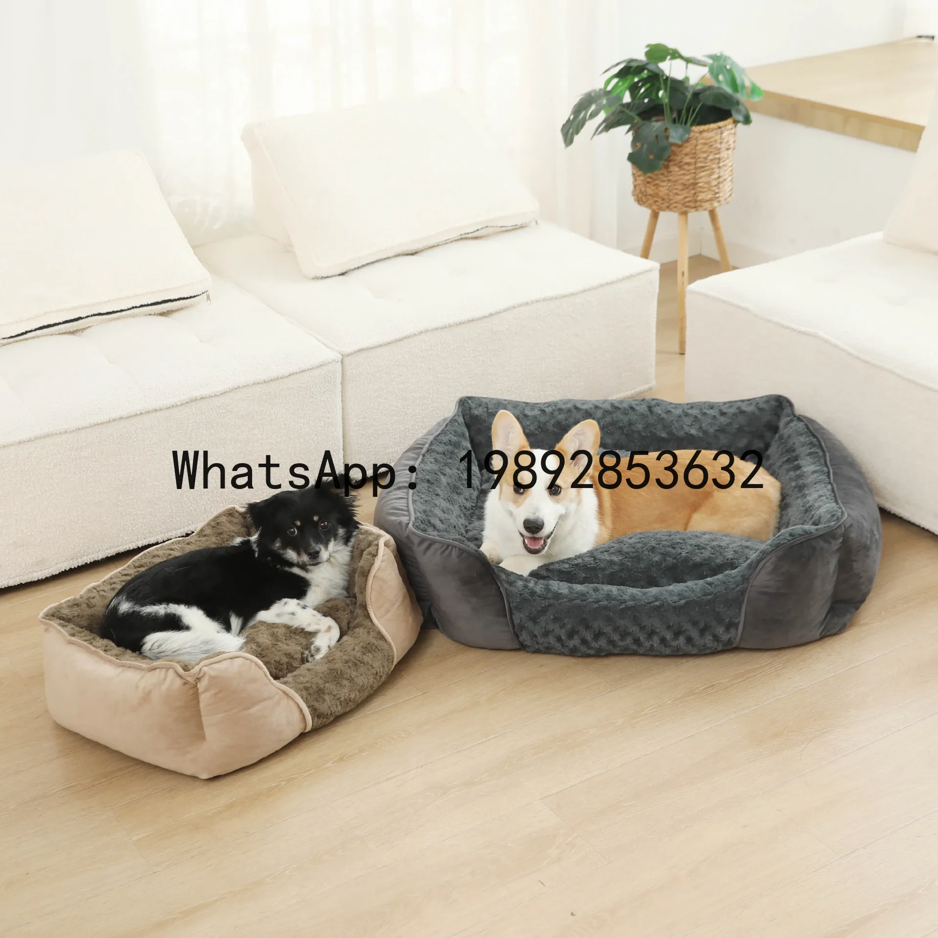 X niche pour chat, chenil semi - Pet X Supplies & Tack Howell Photos avis et prix