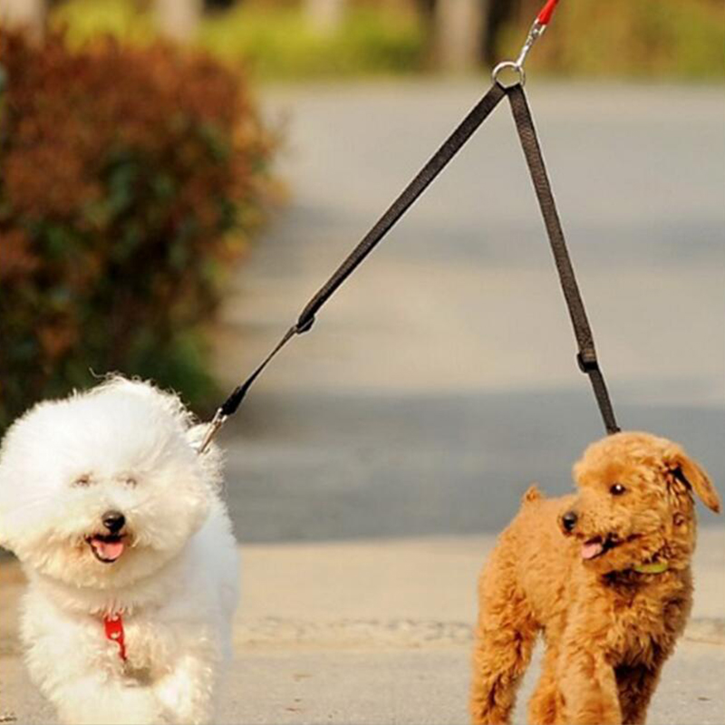 Laisse pour chien en forme de  - Retractable Dog Leash avis et prix