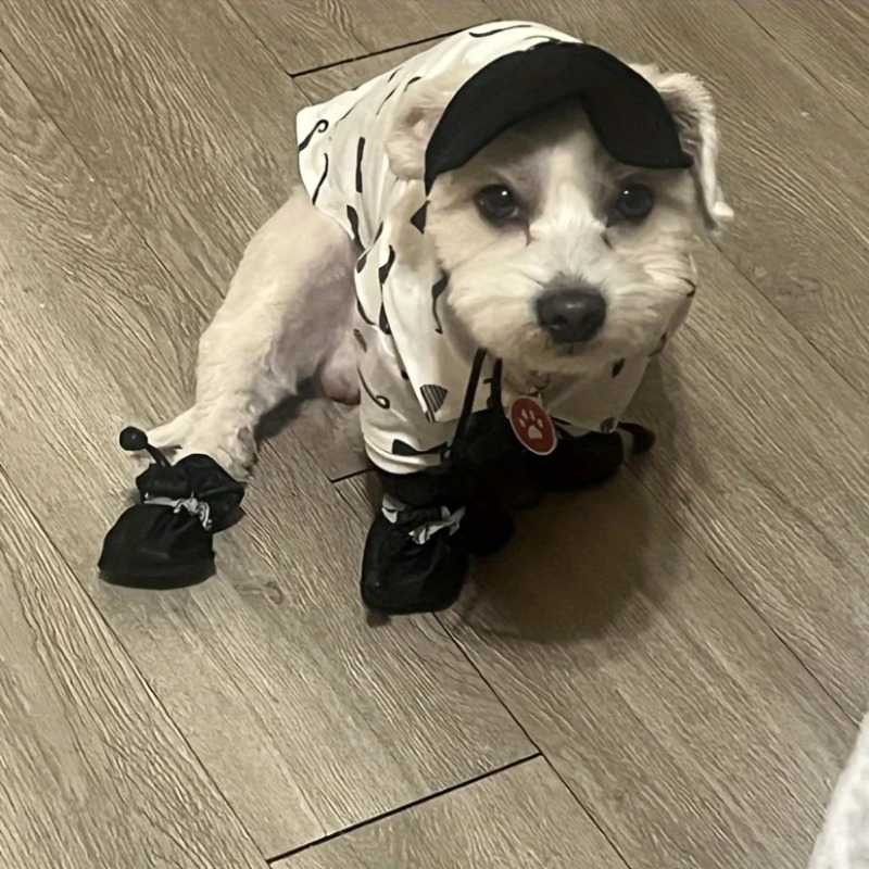 4 paires de bottes de pluie po - Dog Booties Paw Protector avis et prix