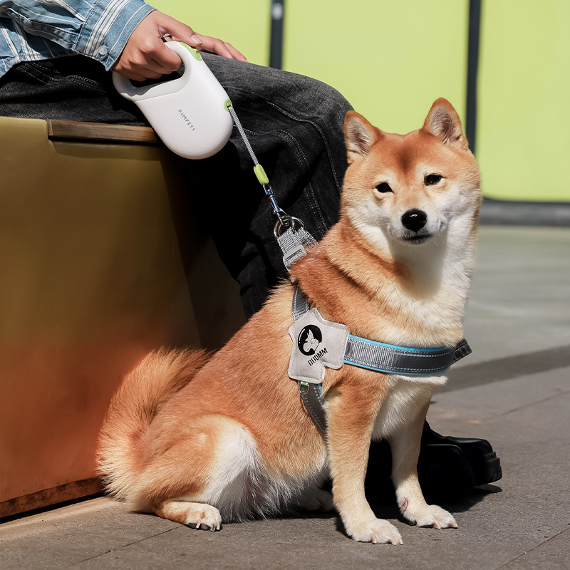 Laisse rétractable pour chien  - Retractable Dog Leash avis et prix