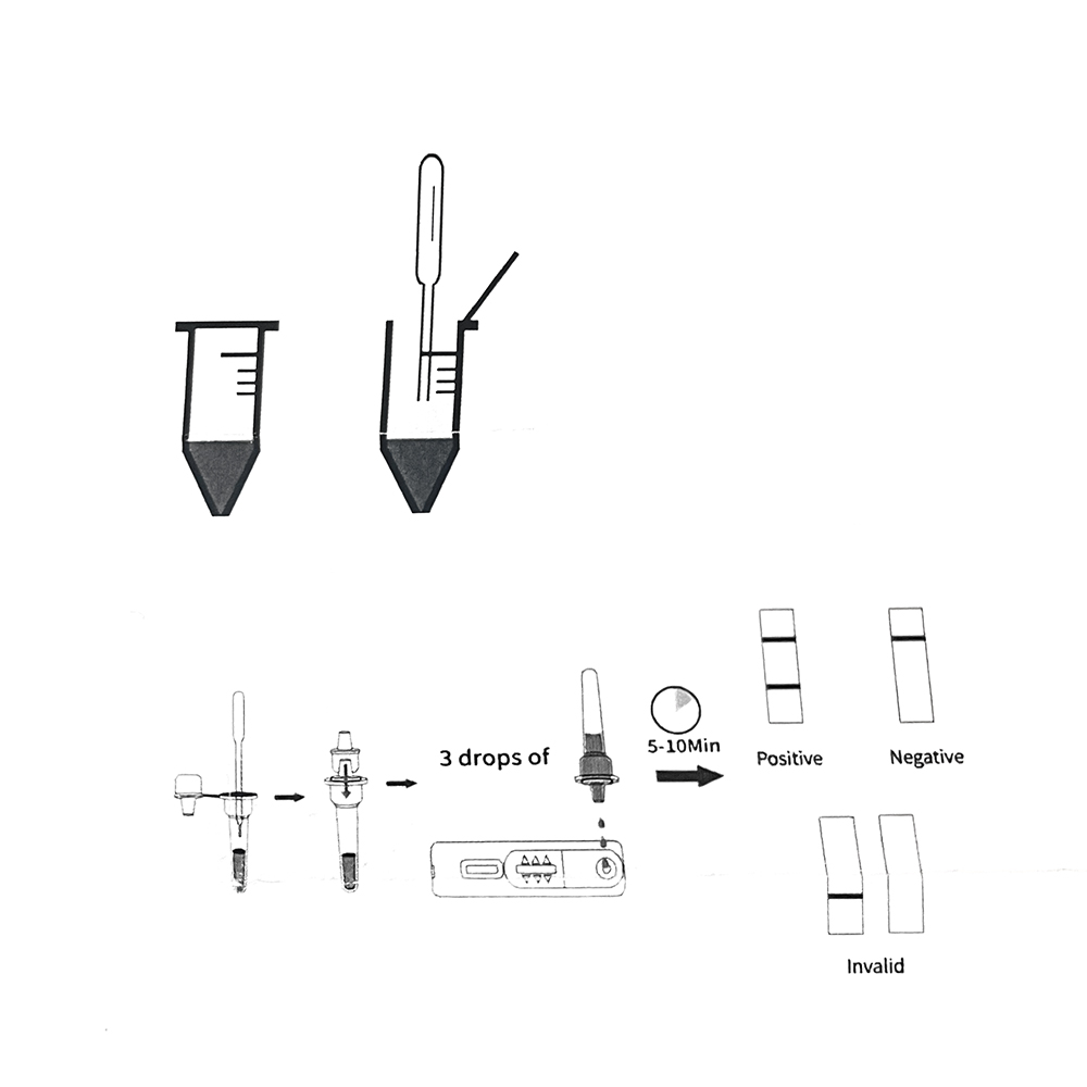 Kit de Test de Grossesse Profe - Pet Supplies Discount avis et prix