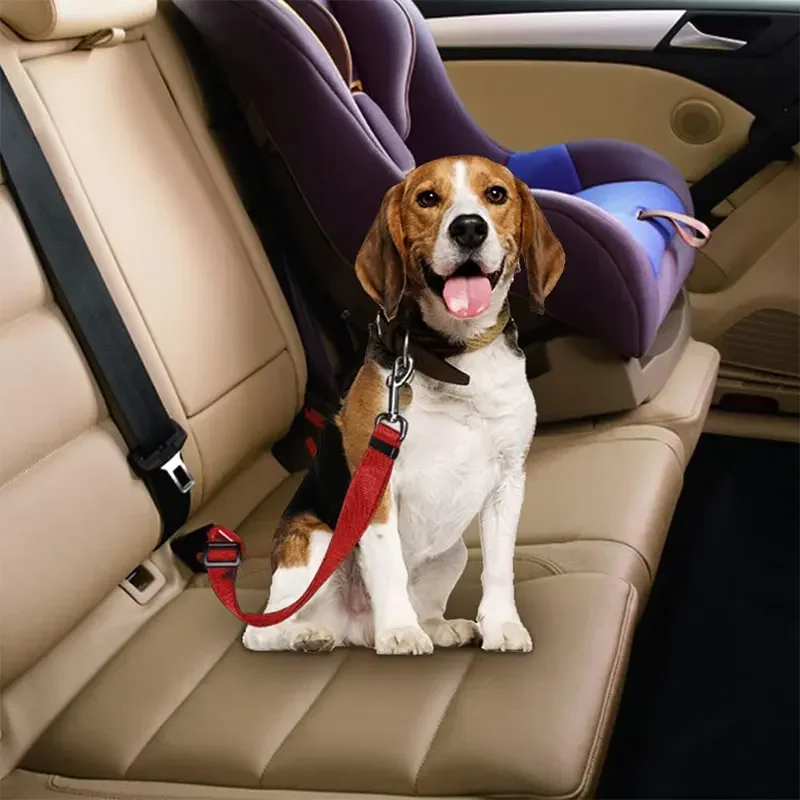 Ceinture de sécurité pour chie - Retractable Dog Leash avis et prix