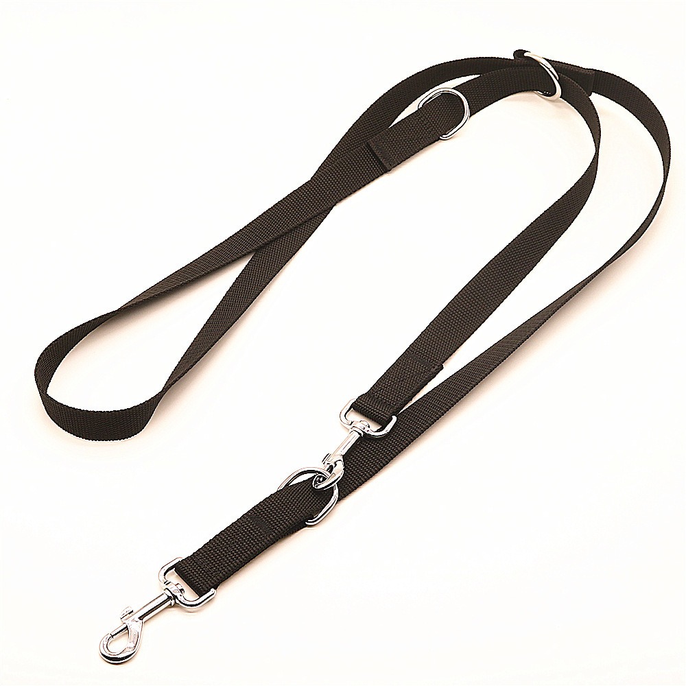 Laisses pour chiens en plein a - Retractable Dog Leash avis et prix