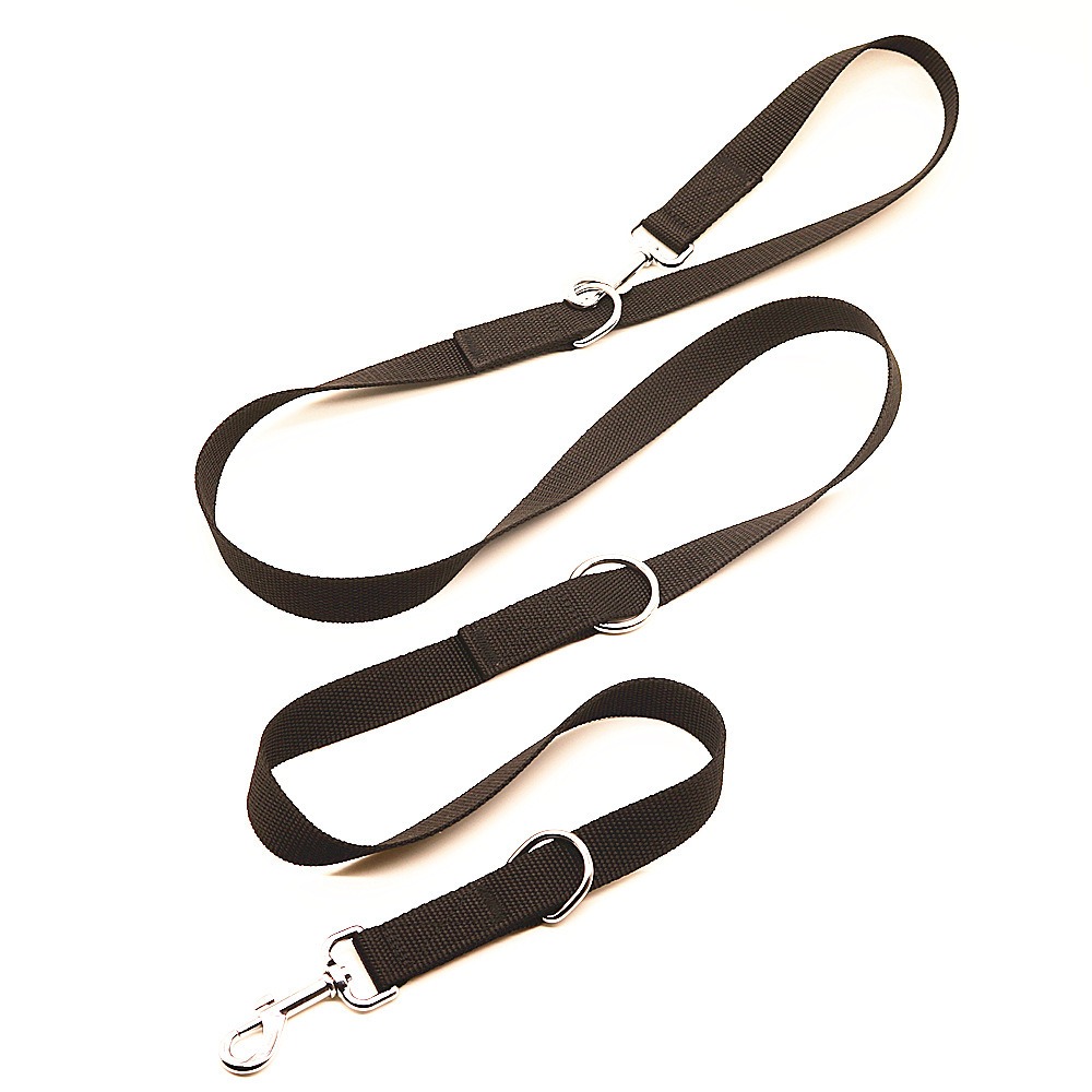 Laisses pour chiens en plein a - Retractable Dog Leash avis et prix