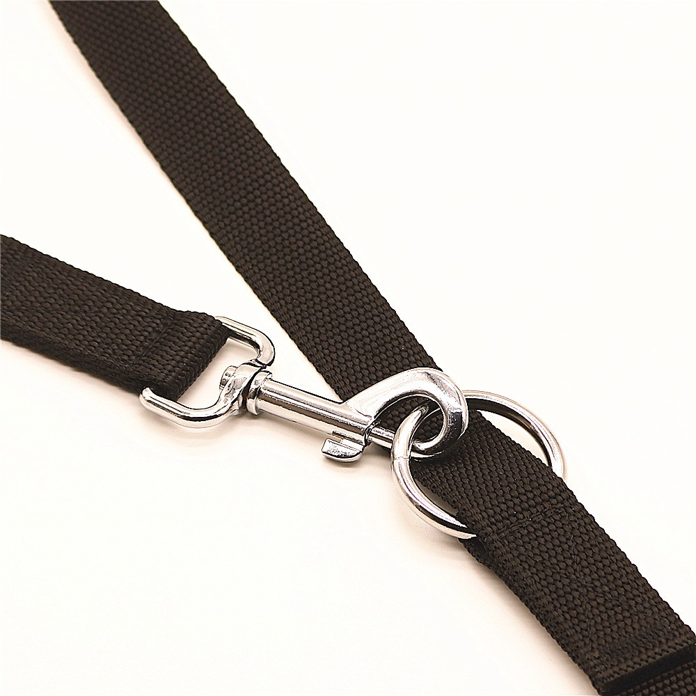 Laisses pour chiens en plein a - Retractable Dog Leash avis et prix