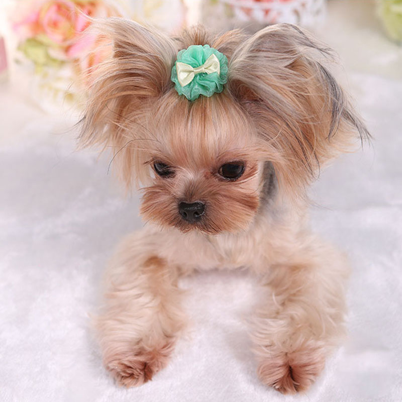 Épingle à cheveux pour animaux - Dog Bandana Scarf avis et prix
