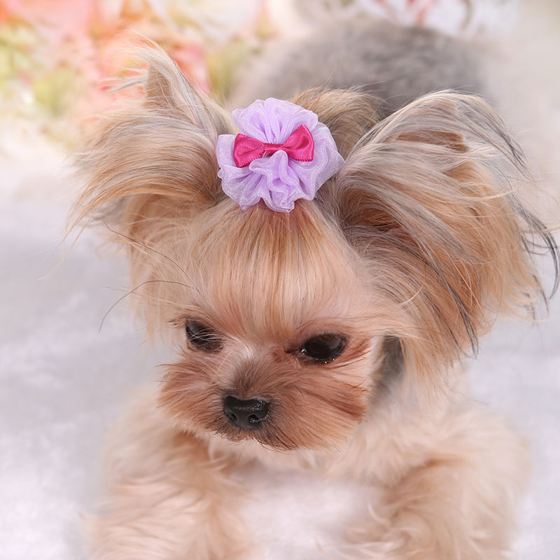 Épingle à cheveux pour animaux - Dog Bandana Scarf avis et prix