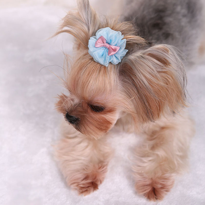 Épingle à cheveux pour animaux - Dog Bandana Scarf avis et prix