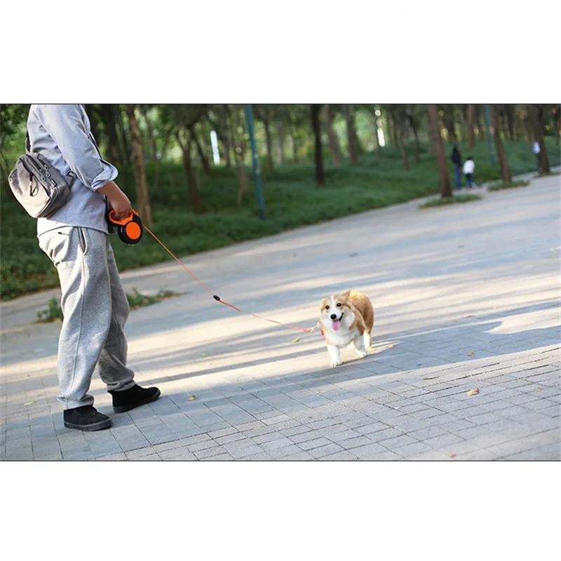 Laisse rétractable en Nylon po - Retractable Dog Leash avis et prix