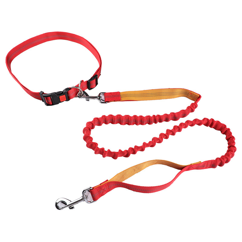 Laisse pour animaux de compagn - Retractable Dog Leash avis et prix