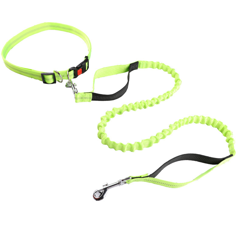 Laisse pour animaux de compagn - Retractable Dog Leash avis et prix