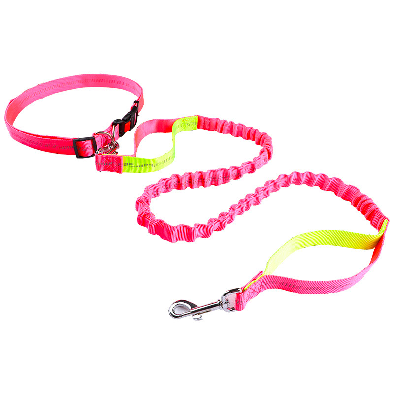 Laisse pour animaux de compagn - Retractable Dog Leash avis et prix
