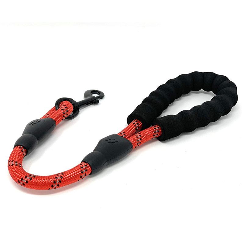 Laisse pour chien laisses cour - Retractable Dog Leash avis et prix