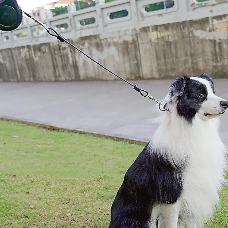 Laisse pour chien étendre les  - Retractable Dog Leash avis et prix