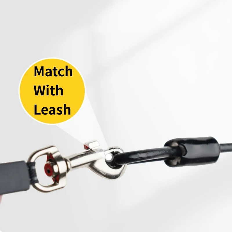 Laisse pour chien étendre les  - Retractable Dog Leash avis et prix