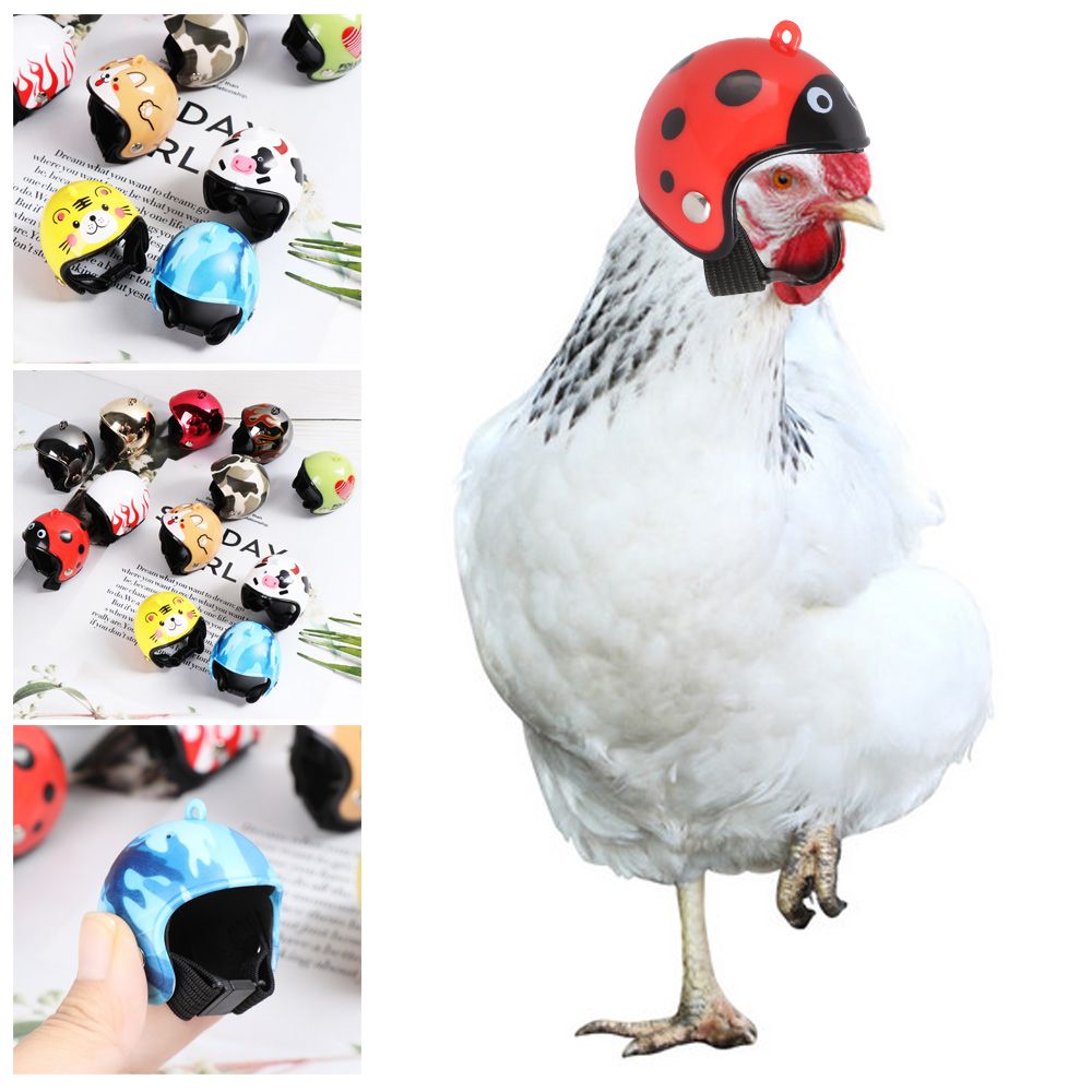 Casque de protection amusant p - Pet X Supplies & Tack Howell Photos avis et prix