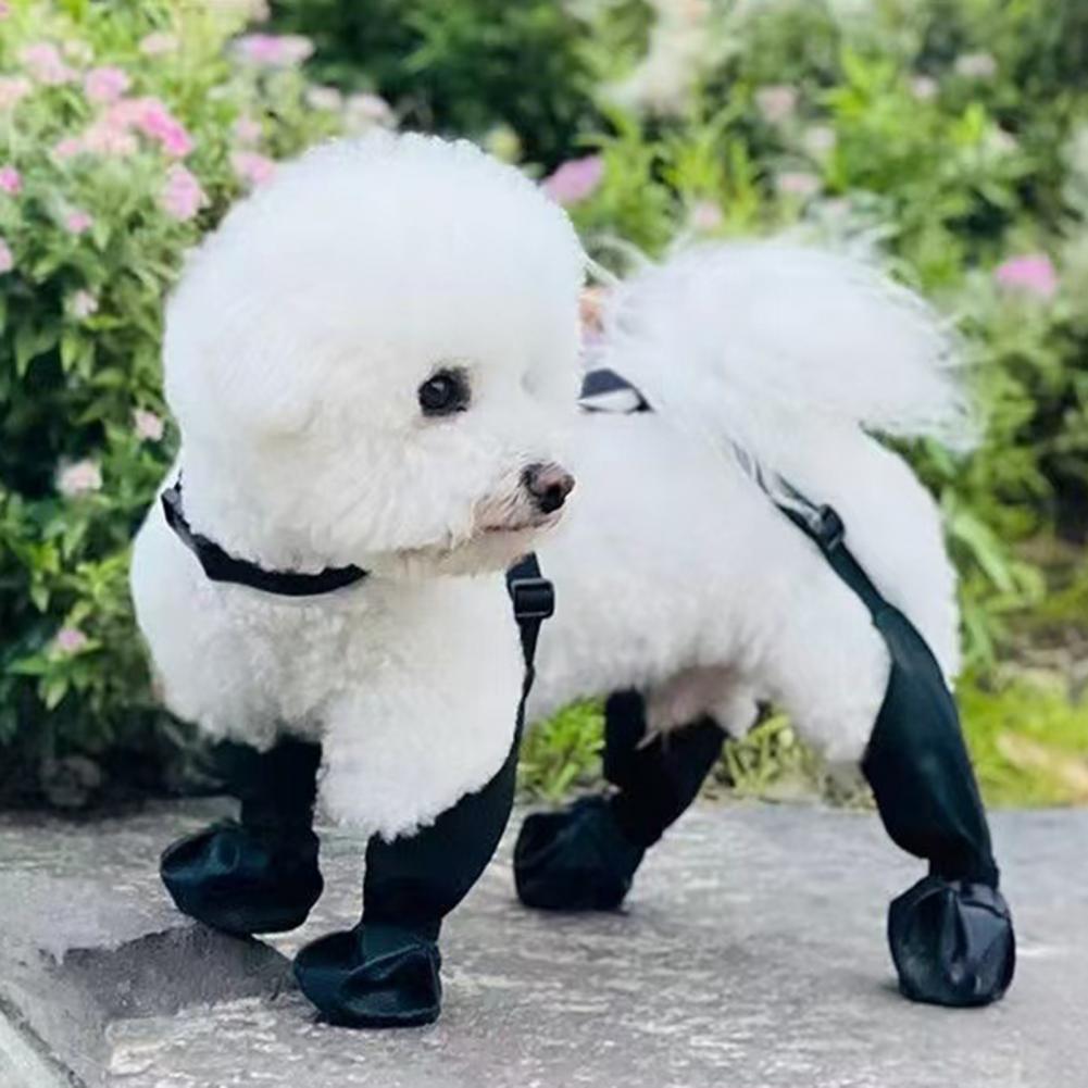 Bottes de pluie pour chien ave - Dog Booties Paw Protector avis et prix