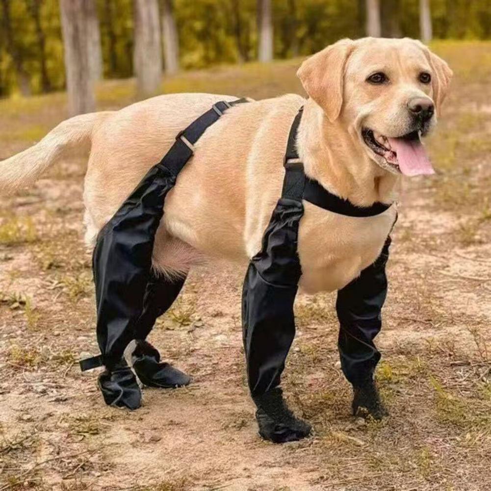 Bottes de pluie pour chien ave - Dog Booties Paw Protector avis et prix