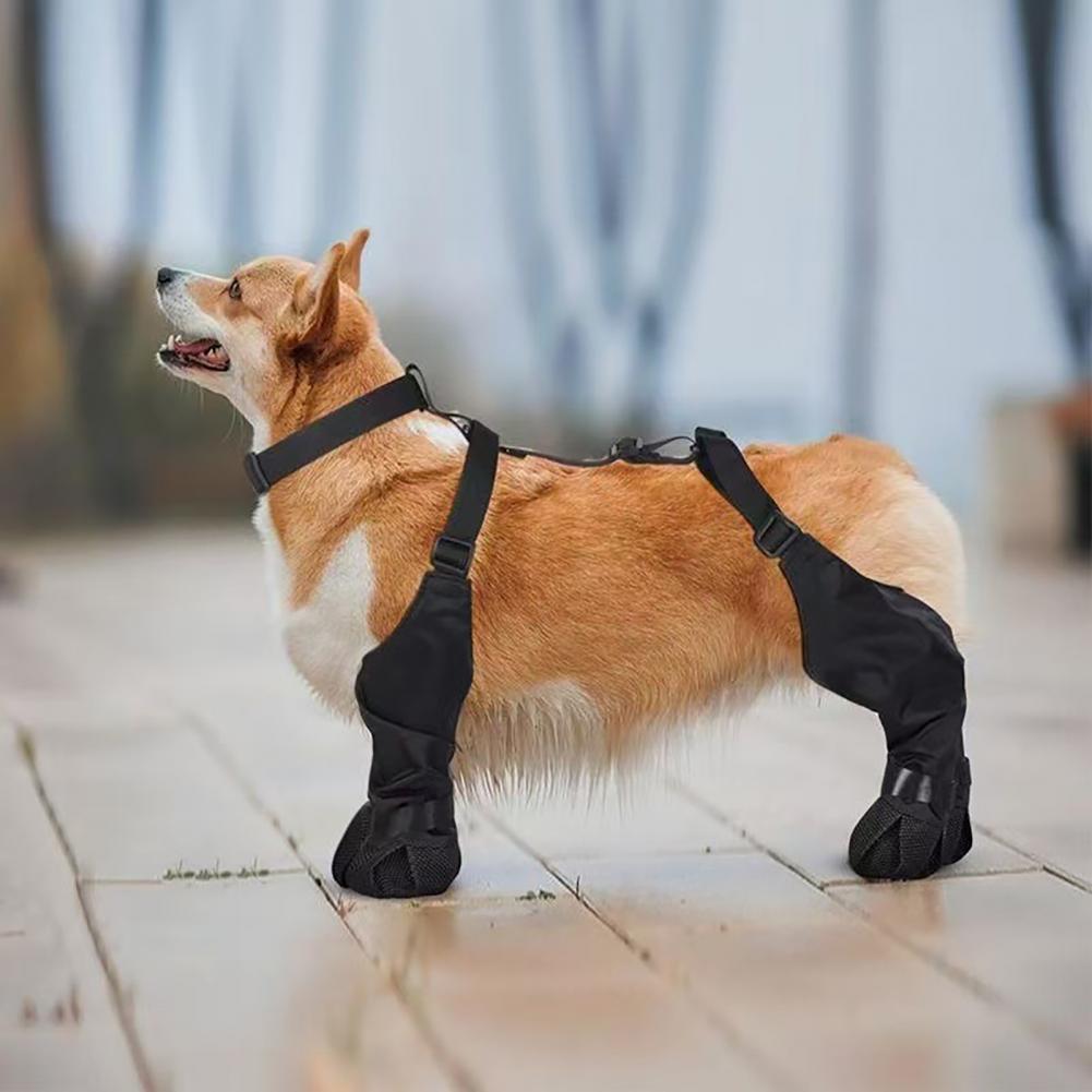 Bottes de pluie pour chien ave - Dog Booties Paw Protector avis et prix